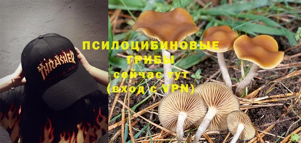 a pvp Алексеевка