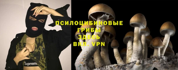 ешки Алзамай
