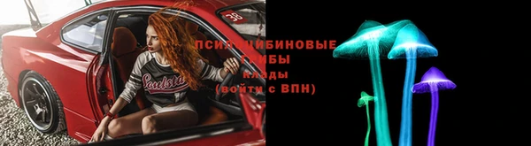 ешки Алзамай