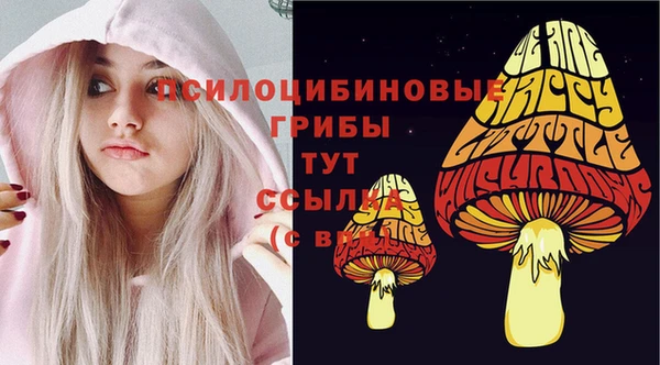 ешки Алзамай