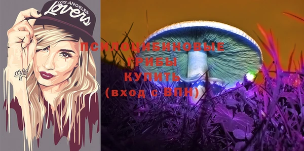 a pvp Алексеевка