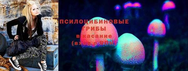 дмт Саяногорск