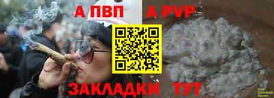 сатива Беслан