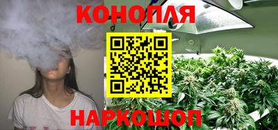 трава Бийск