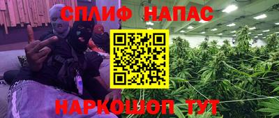 сатива Беслан