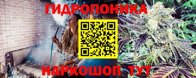 метадон Берёзовский