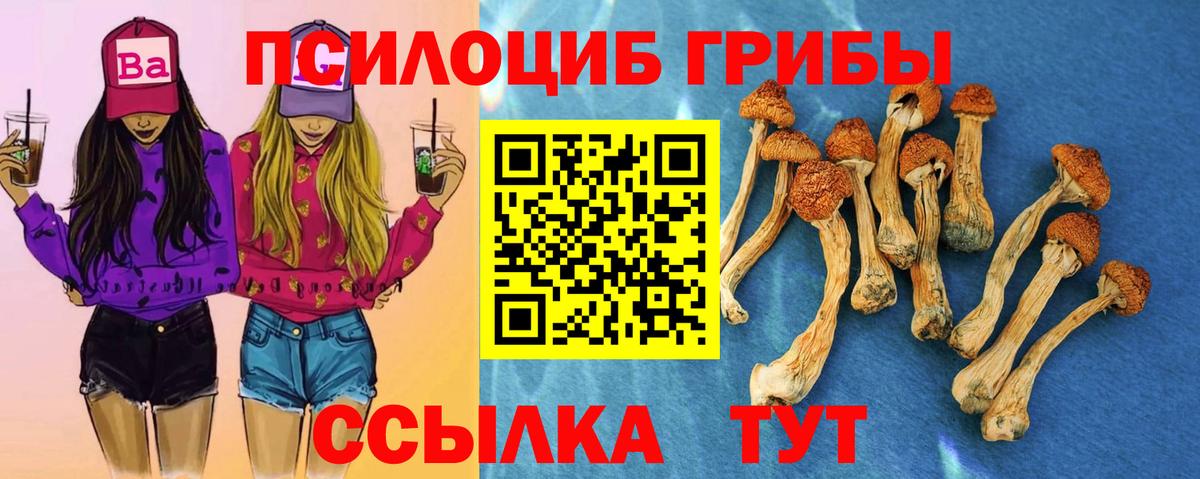 Псилоцибиновые грибы Magic Shrooms  Вход с VPN  Канаш  Галлюциногенные грибы ЛСД 