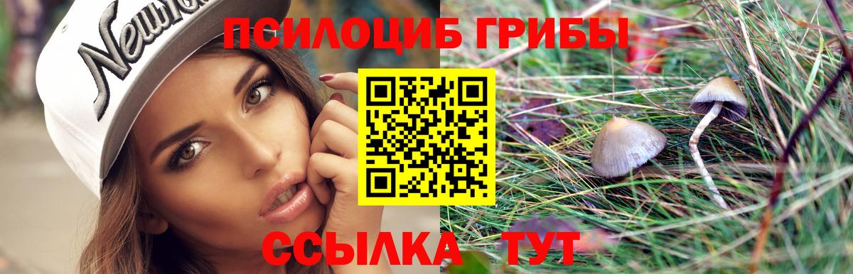 Псилоцибиновые грибы мухоморы Канаш
